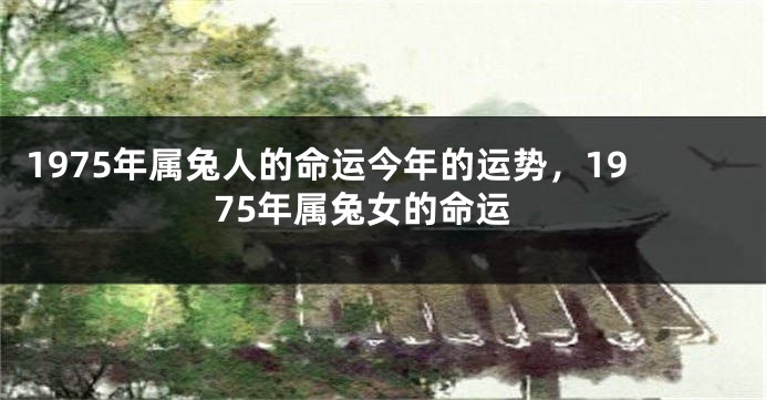 1975年属兔人的命运今年的运势，1975年属兔女的命运