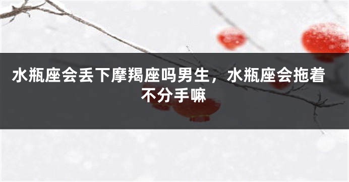 水瓶座会丢下摩羯座吗男生，水瓶座会拖着不分手嘛
