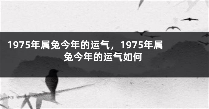 1975年属兔今年的运气，1975年属兔今年的运气如何