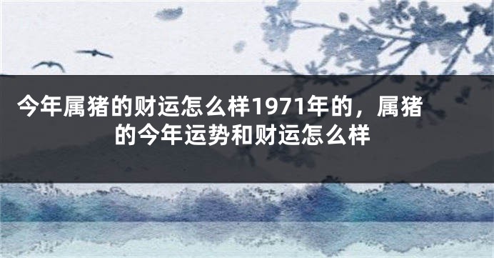 今年属猪的财运怎么样1971年的，属猪的今年运势和财运怎么样