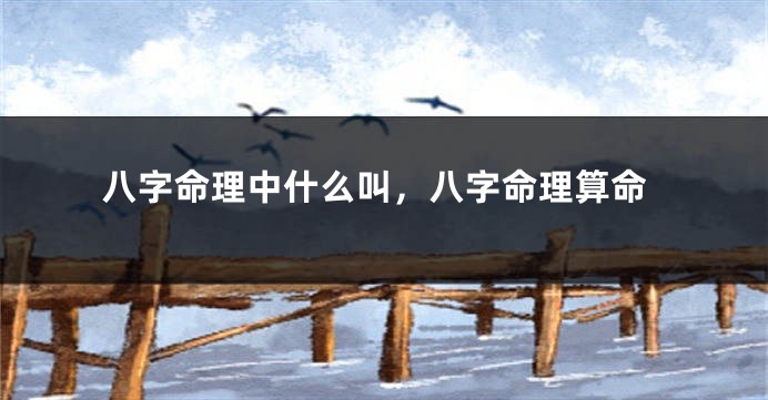 八字命理中什么叫,八字命理算命