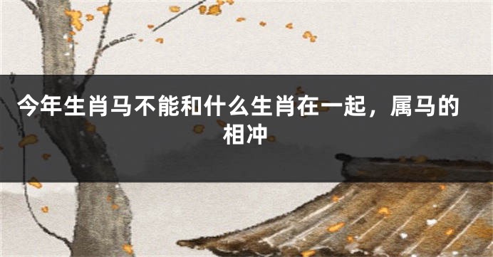 今年生肖马不能和什么生肖在一起，属马的相冲