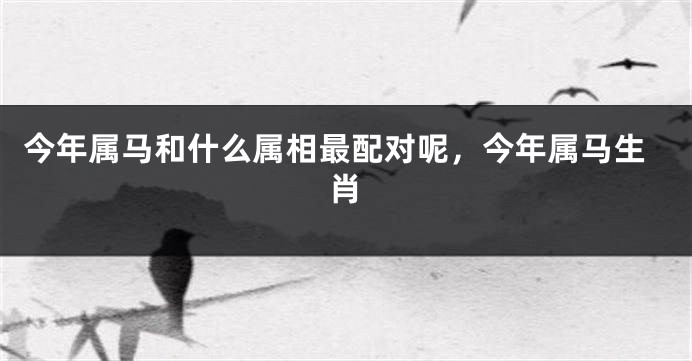 今年属马和什么属相最配对呢，今年属马生肖