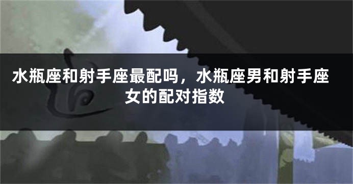 水瓶座和射手座最配吗,水瓶座男和射手座女的配对指数