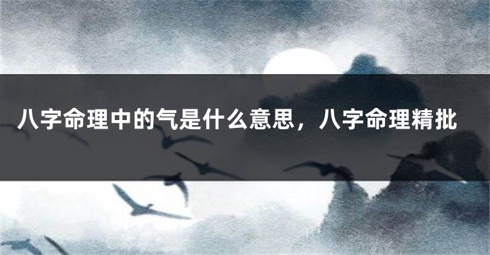 八字命理中的气是什么意思,八字命理精批