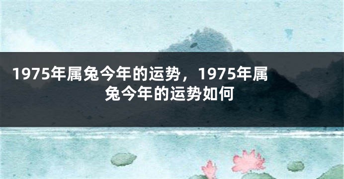 1975年属兔今年的运势,1975年属兔今年的运势如何