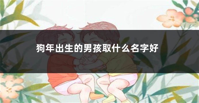 狗年出生的男孩取什么名字好