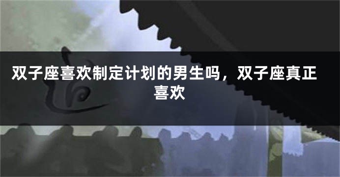 双子座喜欢制定计划的男生吗，双子座真正喜欢