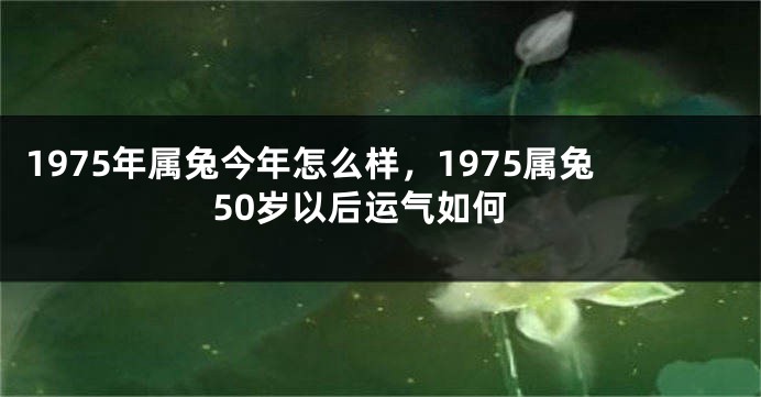 1975年属兔今年怎么样,1975属兔50岁以后运气如何