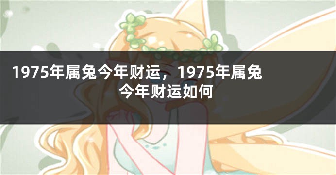 1975年属兔今年财运，1975年属兔今年财运如何