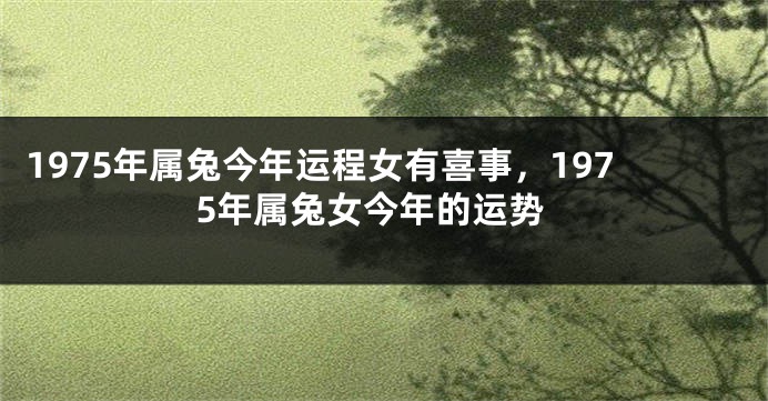 1975年属兔今年运程女有喜事，1975年属兔女今年的运势