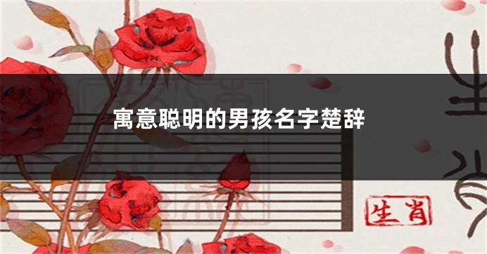 寓意聪明的男孩名字楚辞