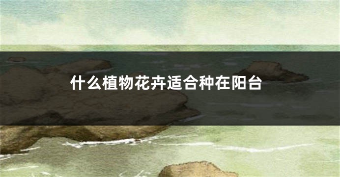 什么植物花卉适合种在阳台