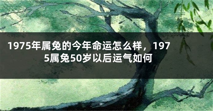 1975年属兔的今年命运怎么样,1975属兔50岁以后运气如何