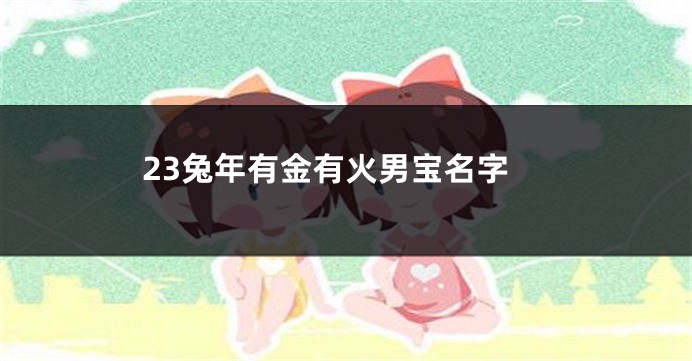 23兔年有金有火男宝名字