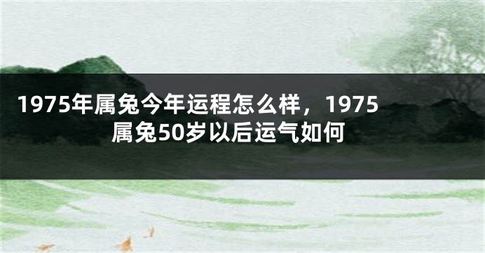 1975年属兔今年运程怎么样，1975属兔50岁以后运气如何
