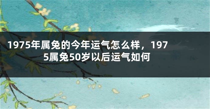 1975年属兔的今年运气怎么样,1975属兔50岁以后运气如何