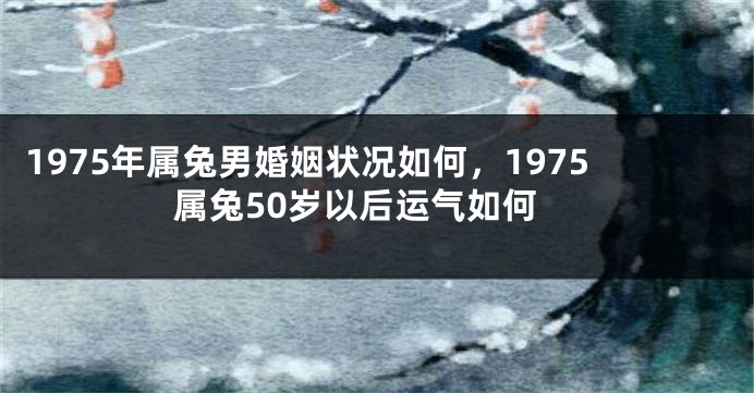 1975年属兔男婚姻状况如何，1975属兔50岁以后运气如何
