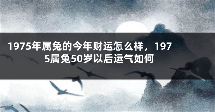 1975年属兔的今年财运怎么样,1975属兔50岁以后运气如何