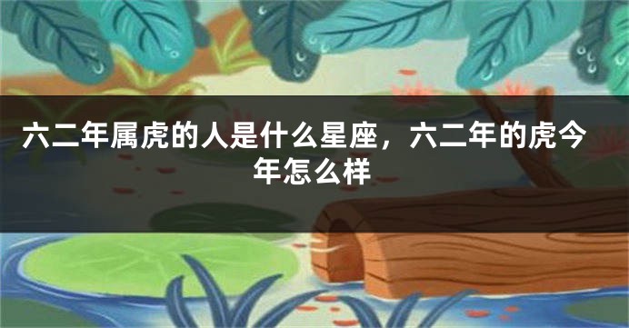 六二年属虎的人是什么星座，六二年的虎今年怎么样