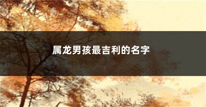 属龙男孩最吉利的名字