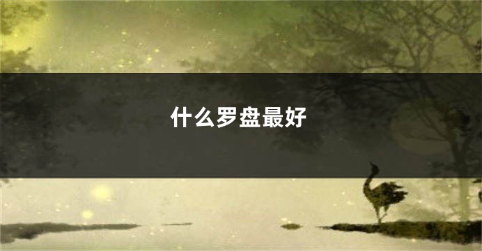 什么罗盘最好