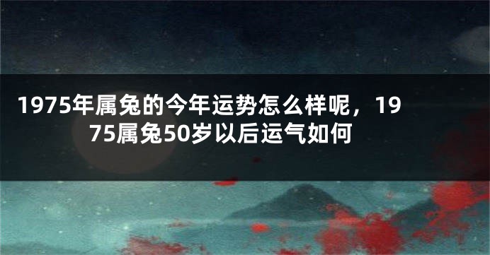 1975年属兔的今年运势怎么样呢，1975属兔50岁以后运气如何