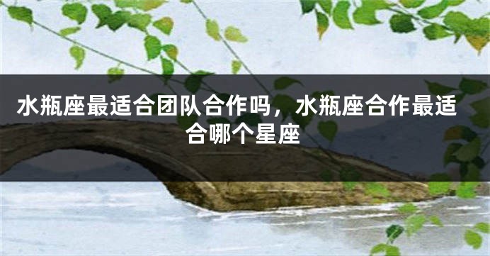 水瓶座最适合团队合作吗，水瓶座合作最适合哪个星座