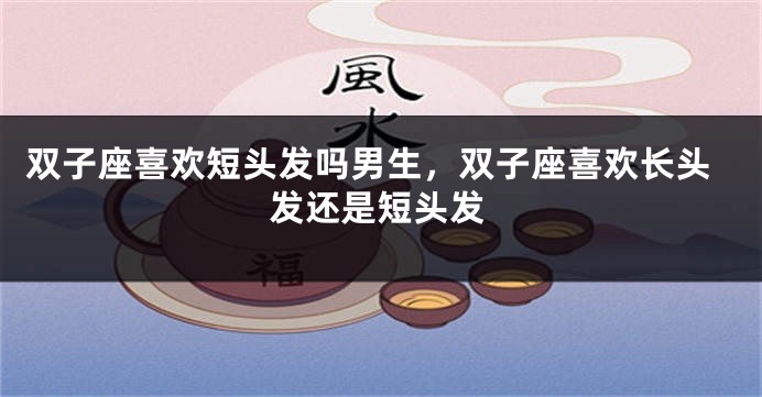 双子座喜欢短头发吗男生，双子座喜欢长头发还是短头发