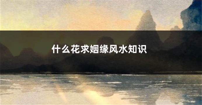 什么花求姻缘风水知识