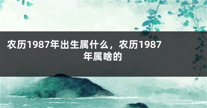 农历1987年出生属什么，农历1987年属啥的