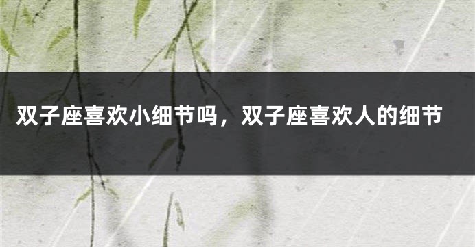 双子座喜欢小细节吗,双子座喜欢人的细节