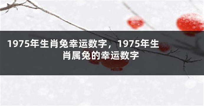 1975年生肖兔幸运数字，1975年生肖属兔的幸运数字