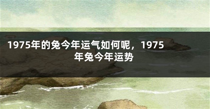 1975年的兔今年运气如何呢，1975年兔今年运势