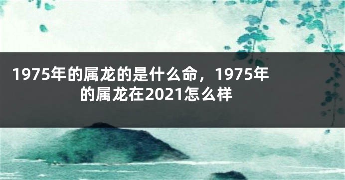 1975年的属龙的是什么命，1975年的属龙在2021怎么样