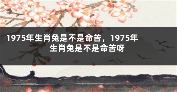 1975年生肖兔是不是命苦,1975年生肖兔是不是命苦呀