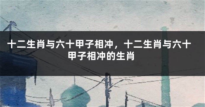 十二生肖与六十甲子相冲，十二生肖与六十甲子相冲的生肖