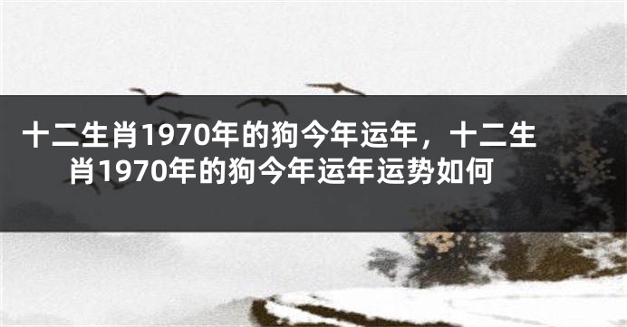 十二生肖1970年的狗今年运年,十二生肖1970年的狗今年运年运势如何