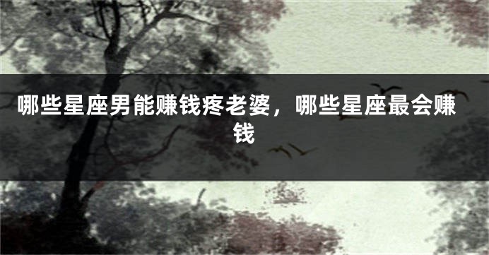 哪些星座男能赚钱疼老婆，哪些星座最会赚钱