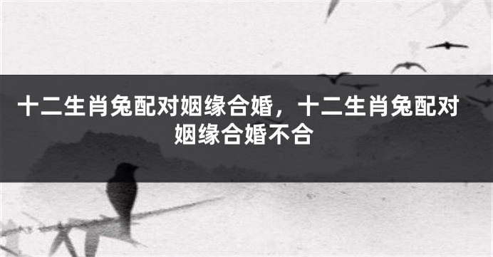 十二生肖兔配对姻缘合婚，十二生肖兔配对姻缘合婚不合