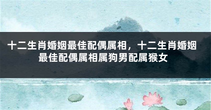 十二生肖婚姻最佳配偶属相，十二生肖婚姻最佳配偶属相属狗男配属猴女