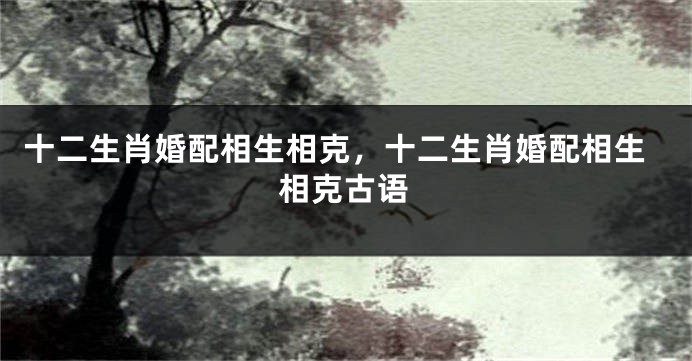 十二生肖婚配相生相克，十二生肖婚配相生相克古语