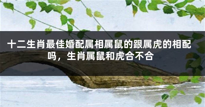 十二生肖最佳婚配属相属鼠的跟属虎的相配吗，生肖属鼠和虎合不合