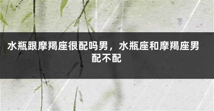 水瓶跟摩羯座很配吗男，水瓶座和摩羯座男配不配