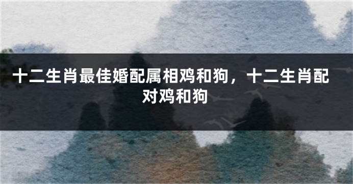 十二生肖最佳婚配属相鸡和狗,十二生肖配对鸡和狗