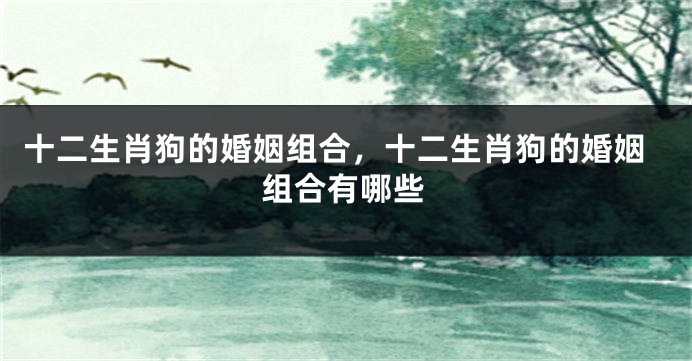 十二生肖狗的婚姻组合，十二生肖狗的婚姻组合有哪些