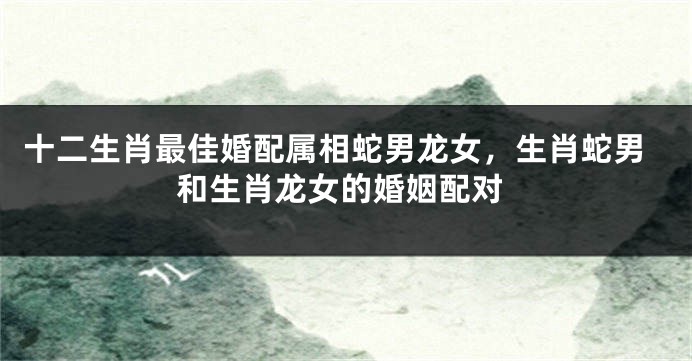 十二生肖最佳婚配属相蛇男龙女,生肖蛇男和生肖龙女的婚姻配对