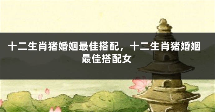 十二生肖猪婚姻最佳搭配，十二生肖猪婚姻最佳搭配女