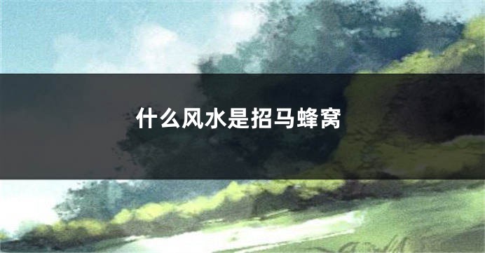 什么风水是招马蜂窝