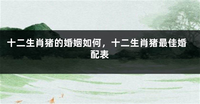 十二生肖猪的婚姻如何，十二生肖猪最佳婚配表